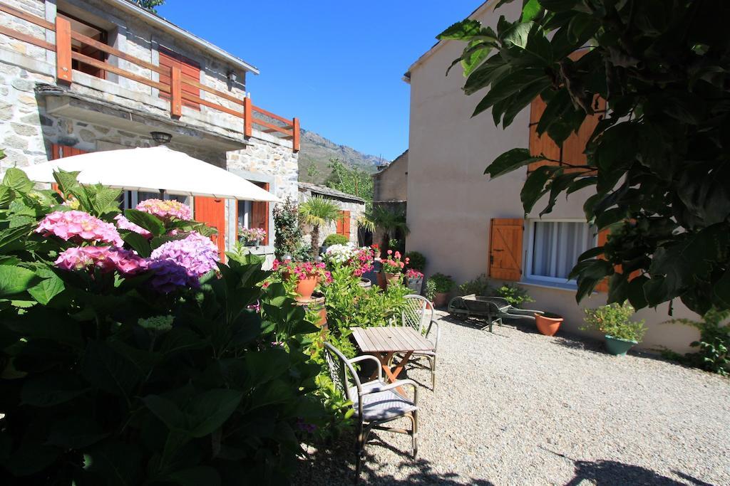 A Mandria, Appartements Avec Cuisine 30M2, Patio, Vue Montagnes Et Citadelle, 5 Minutes A Pied Du Centre Ville Et Des Rivieres Corte  Ngoại thất bức ảnh