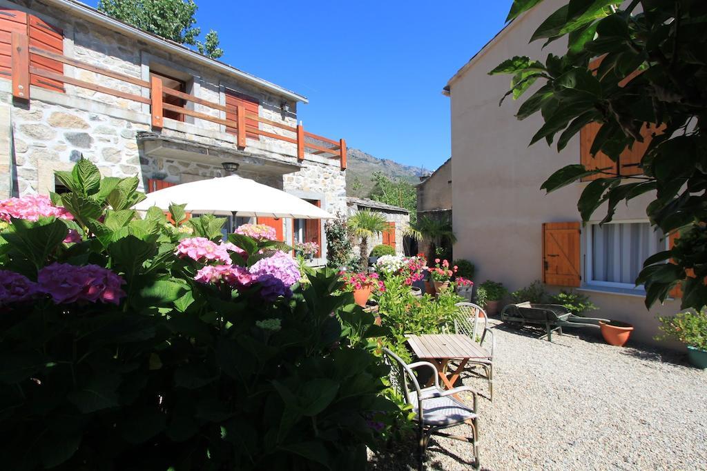A Mandria, Appartements Avec Cuisine 30M2, Patio, Vue Montagnes Et Citadelle, 5 Minutes A Pied Du Centre Ville Et Des Rivieres Corte  Ngoại thất bức ảnh
