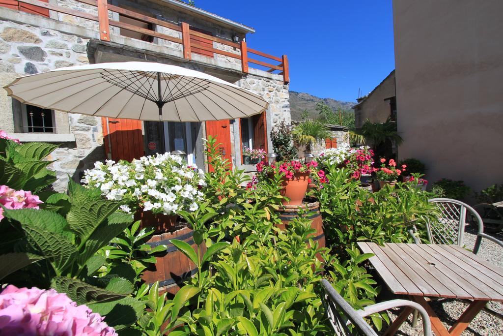 A Mandria, Appartements Avec Cuisine 30M2, Patio, Vue Montagnes Et Citadelle, 5 Minutes A Pied Du Centre Ville Et Des Rivieres Corte  Ngoại thất bức ảnh