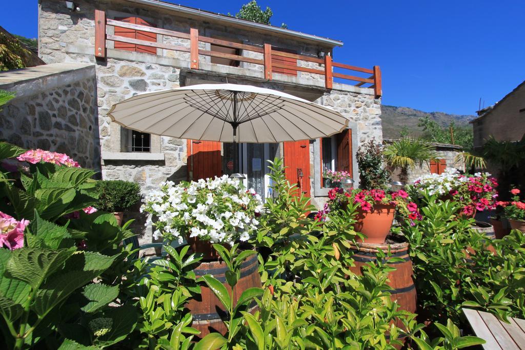A Mandria, Appartements Avec Cuisine 30M2, Patio, Vue Montagnes Et Citadelle, 5 Minutes A Pied Du Centre Ville Et Des Rivieres Corte  Ngoại thất bức ảnh